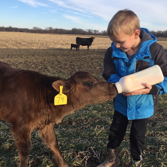 Meet your Posher, Dana - Picture 4 of 5